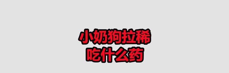3岁狗狗拉稀应该如何用药治疗？（药物治疗是解决狗狗拉稀问题的有效方法。）