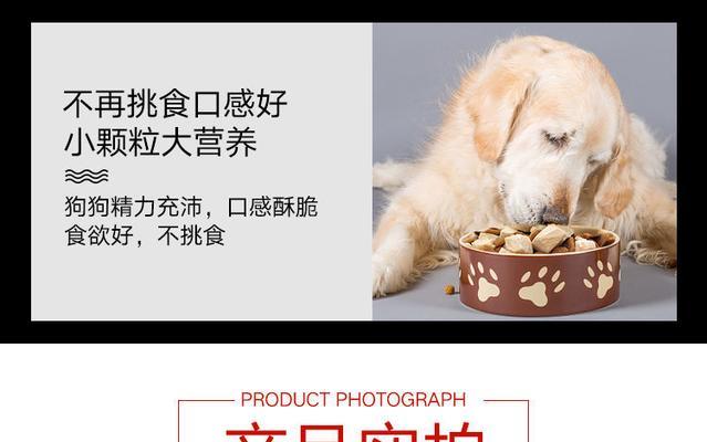 以斗牛四个月吃什么狗粮（科学选择适合斗牛犬宝宝的营养狗粮）