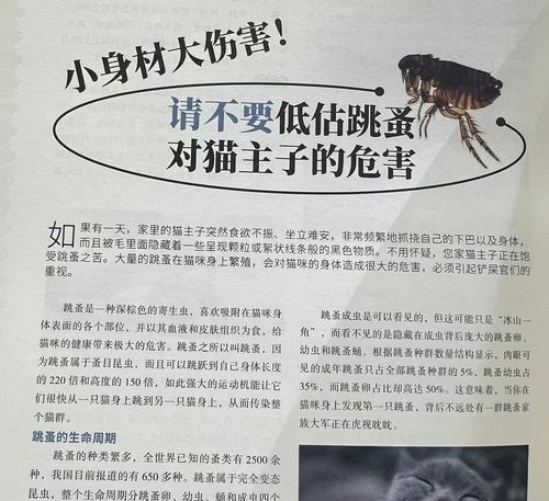 毛身上的跳蚤世界（揭开毛身上小小跳蚤的奇妙生活）