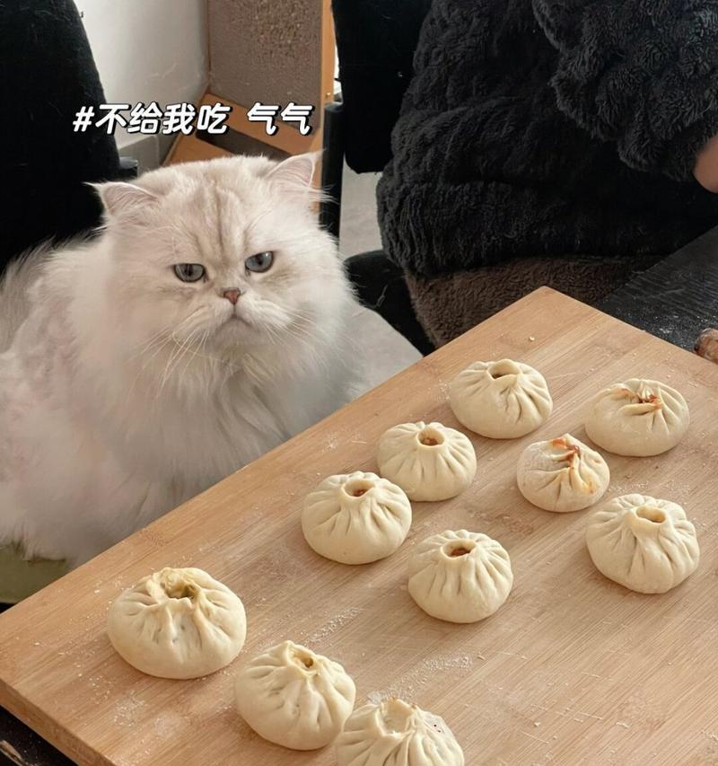 给他吃点什么？——为你的宠物提供健康饮食的关键（培养营养均衡饮食习惯，让你的宠物更健康快乐）