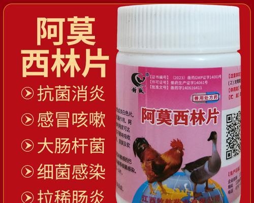 四个月大的猫拉肚子怎么办？（如何治疗四个月大猫的腹泻症状）