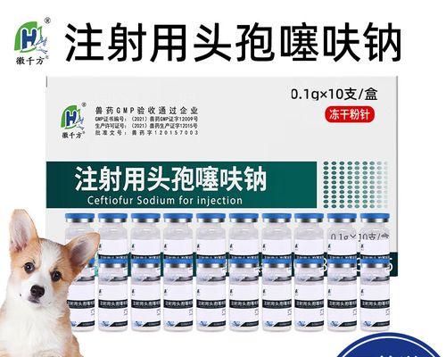 兔子抗生素的选择与使用（了解兔子常用抗生素及正确用药方法，保障兔子健康）