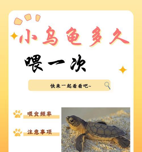 外国乌龟的饮食习性（探索外国乌龟的饮食偏好及营养需求）