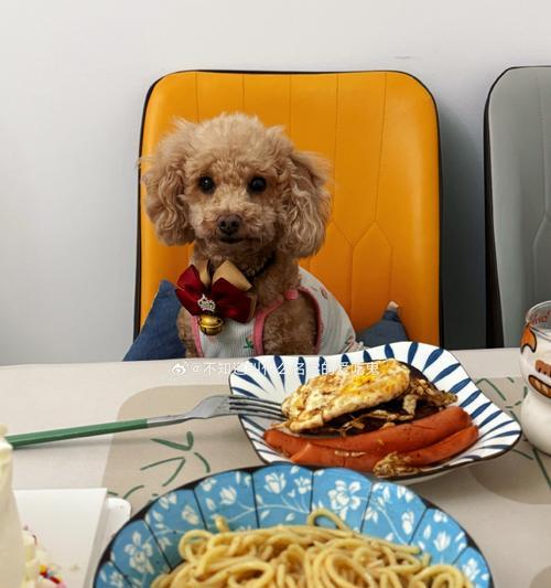 以太迪狗的饮食需求（探索以太迪狗最佳饮食配方）