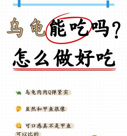 如何养乌龟并喂食？（科学饲养乌龟的关键及合理饮食安排）