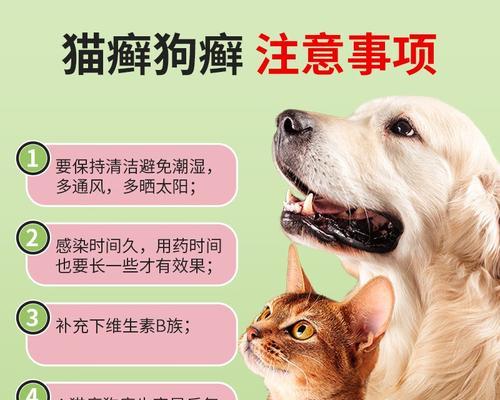如何治疗狗的皮肤病，洗药浴是关键（掌握正确的洗药浴方法，提高治疗效果）