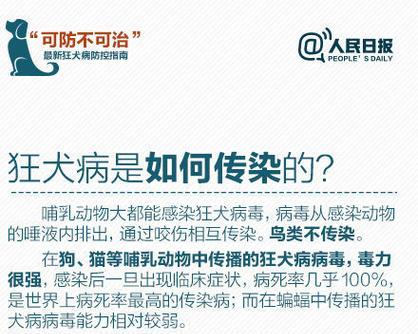 狗传播疾病的风险与预防（了解狗传染病的关键知识，守护家人健康）