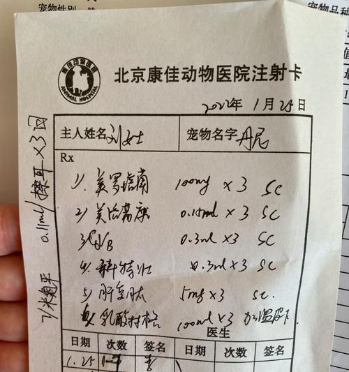 小狗为什么白细胞偏低？（探究白细胞偏低的原因及治疗方法）