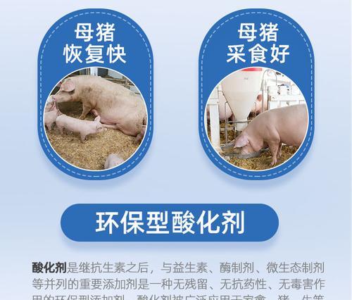 小狗17天断奶饮食指南（17天断奶小狗的健康饮食安排及注意事项）