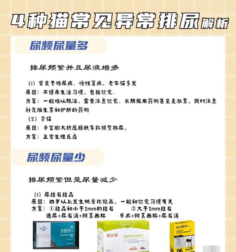 猫咪排尿困难怎么办？药物治疗是关键（探索猫咪排尿困难的症状、原因和药物治疗方法）