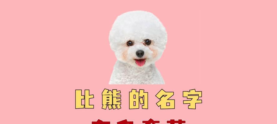 给狗狗取名字的艺术（如何选择适合狗狗的名字）
