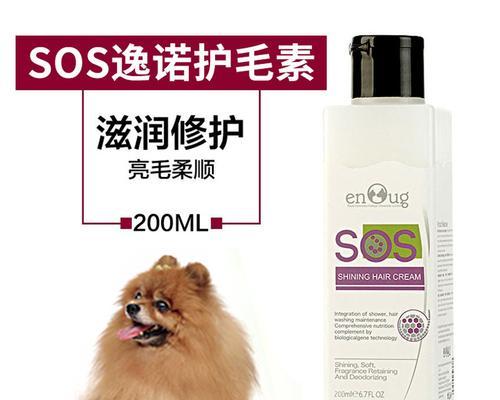 宠物狗洗澡的正确方法与注意事项（了解如何给你的宠物狗洗澡，确保它们健康与干净）