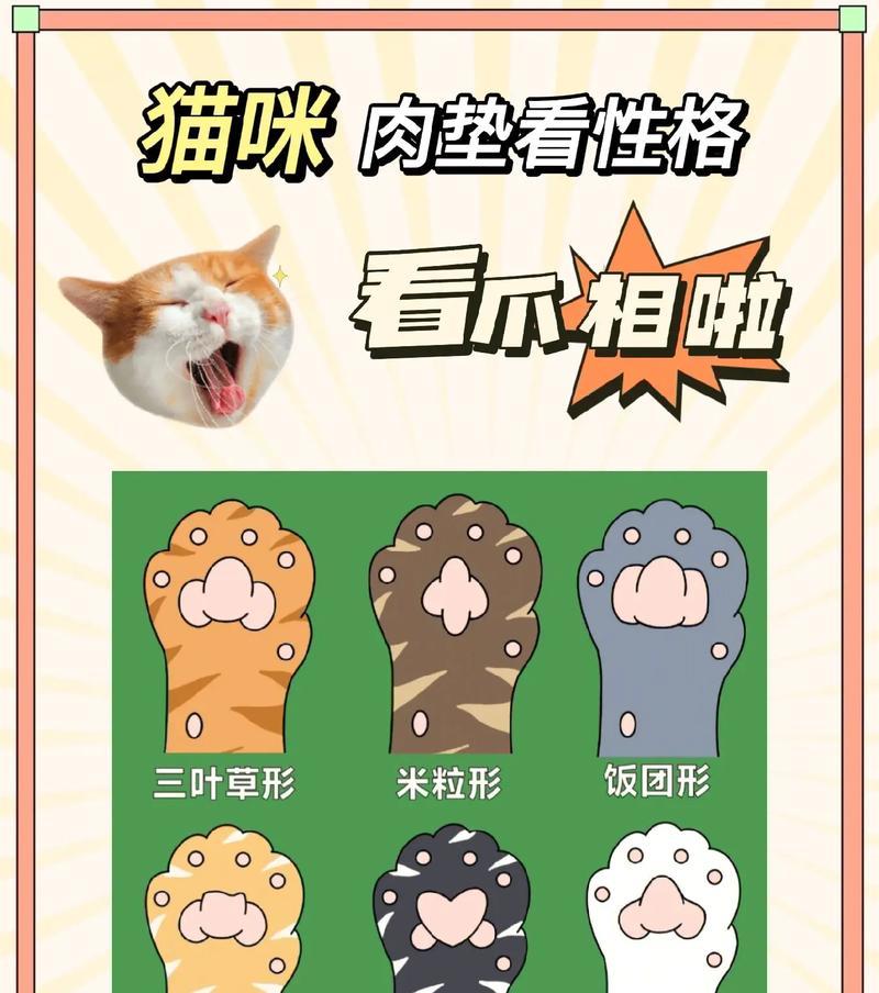 猫咪肉垫的多功能作用及保健方法（探索猫咪肉垫的神秘世界，让爱宠更健康）