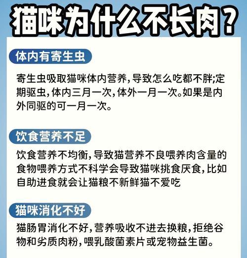 猫咪的饮食习惯（了解猫咪的饮食需求，给它们提供营养均衡的一月食谱）