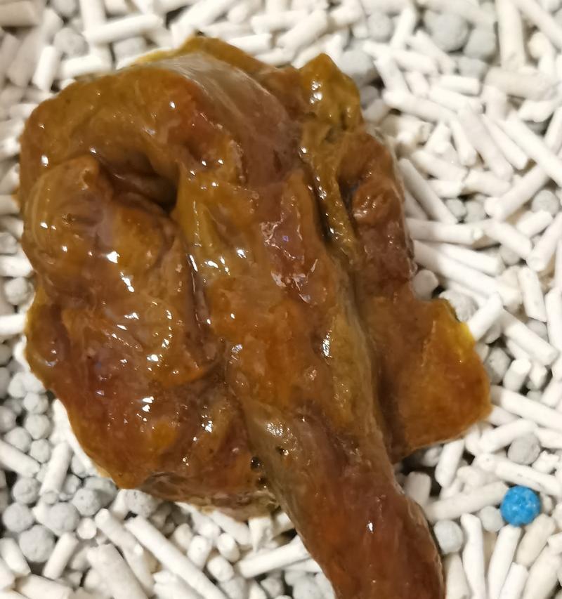 揭秘猫瘟引发的异常大便现象（猫瘟下的大便）