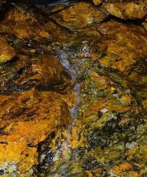 以罗汉用什么水为主题的探讨（揭开罗汉背后的水秘密）