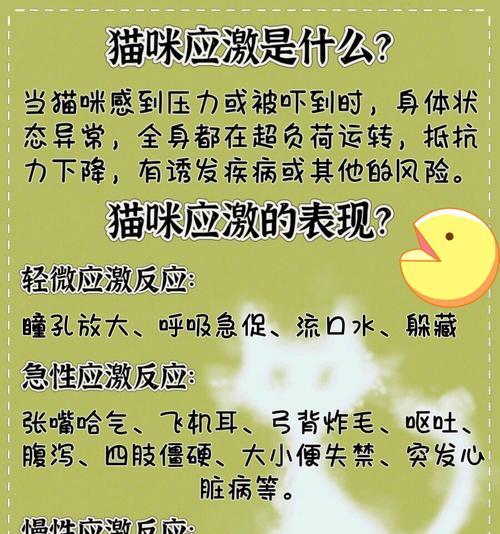 猫猫应激反应（揭秘药物治疗猫猫应激反应的有效性及安全性）