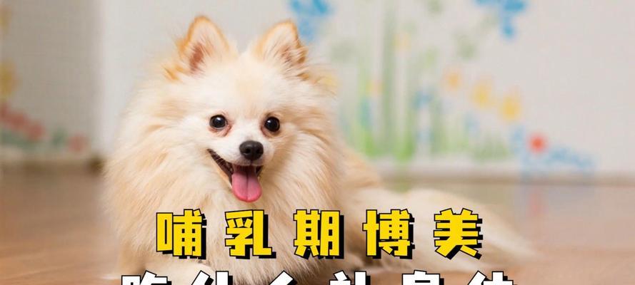 两个月大的狗狗应该吃什么？（营养均衡的饮食对幼犬健康成长至关重要）
