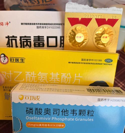小狗肠感冒应该吃什么药？（帮助你选择适合小狗肠感冒的药物治疗方案）