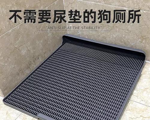 金毛犬如何控制小便时机？（金毛犬如何培养定时定点排尿习惯）