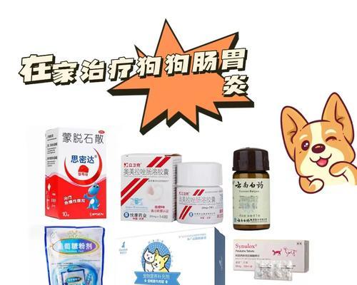 狗狗胃肠炎的饮食指南（营养平衡，舒缓胃肠不适）