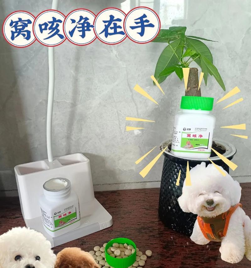 犬窝咳的治疗方法及药物选择（以犬窝咳吃什么药怎么吃为主题，探讨犬窝咳的治疗方法和常用药物）