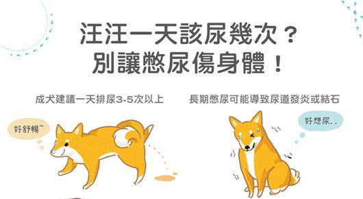 狗尿的危害（揭开狗尿中隐含的风险，提高我们的警惕）