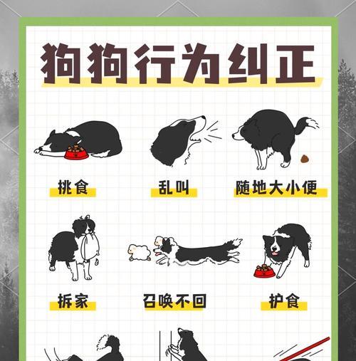 养狗的利与弊（探究养狗对个人和社会的影响）