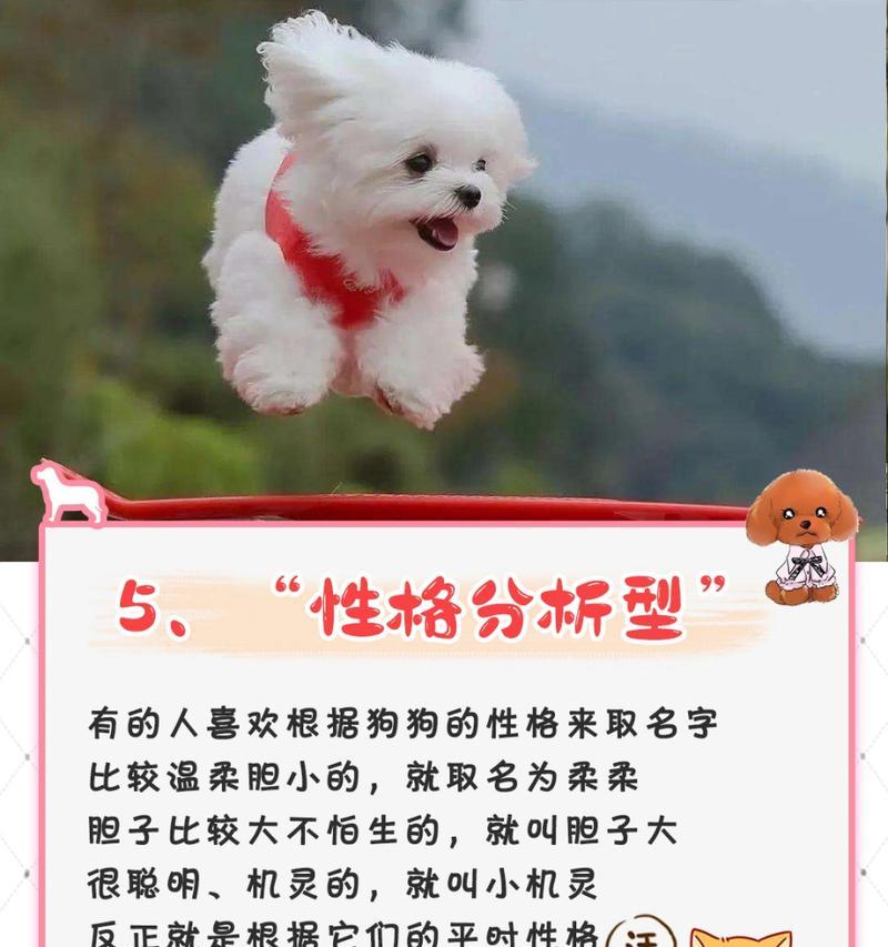 如何为你的狗取一个恰当的名字（从品种到性格，挑选一个适合的名字给你的宠物狗）