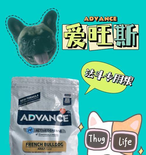 法斗生病了，如何饮食调理？（为你的法斗选择正确的食物，促进康复！）