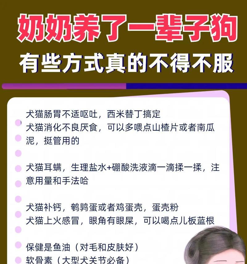 养狗的益处与作用（与宠物狗相伴的喜悦与收获）