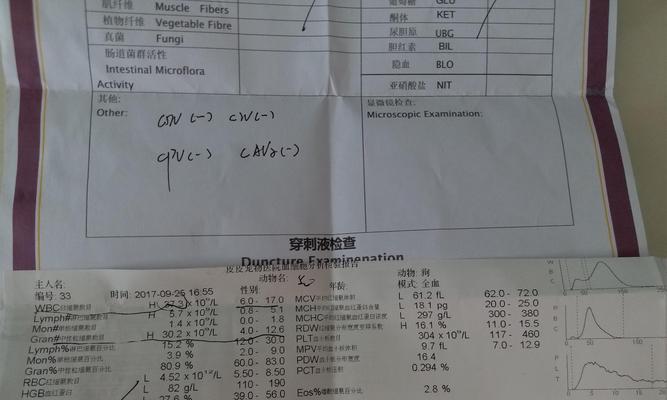 金毛幼犬咳嗽治疗药物选择（了解金毛幼犬咳嗽症状及选用合适药物）