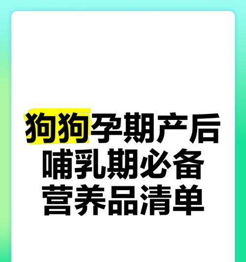 小狗的营养需求与补充（培养健康快乐小狗的关键营养因素）