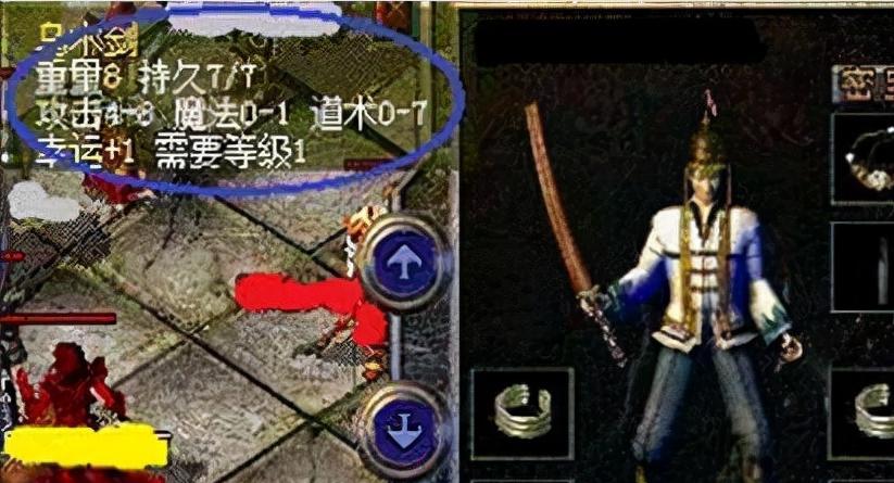 中国人养的最多的狗是什么？（了解中国人最喜爱的狗品种及其特点）