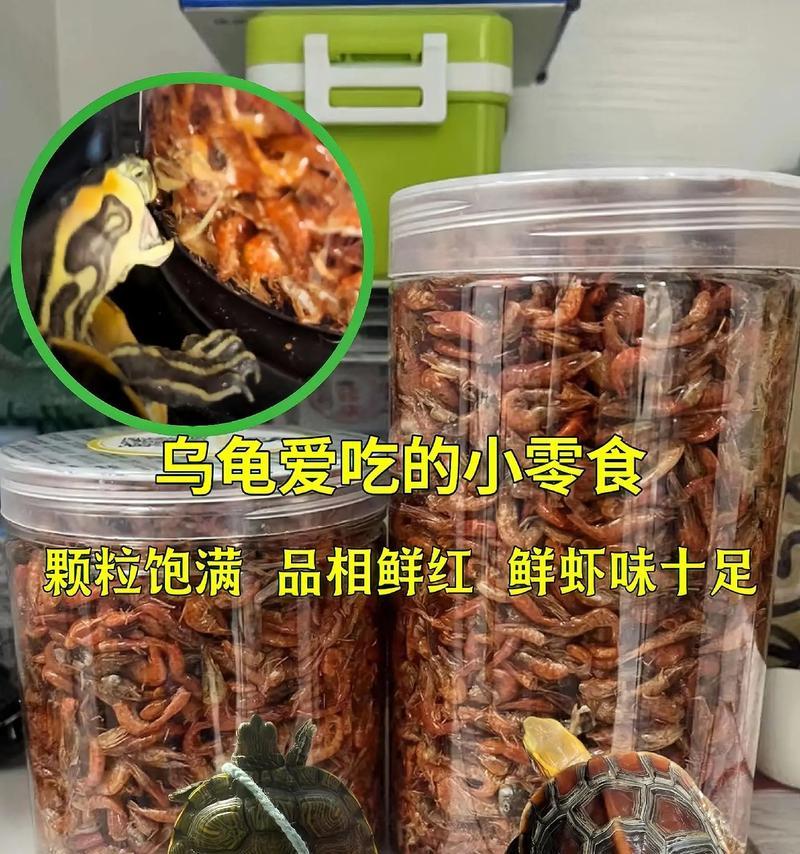 乌龟饮食的功效与益处（探索乌龟饮食的神奇效果，让你惊叹不已）