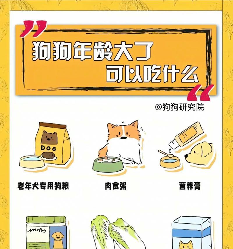 40多天的狗狗该吃什么？（给你的小狗狗提供适宜的饮食）