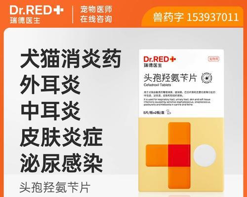 狗有痰，该吃什么消炎药？（解读宠物医生推荐的有效药物治疗犬痰咳症状）
