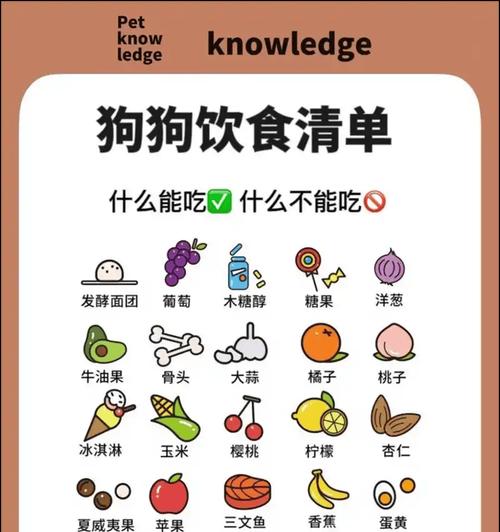狗狗的消化系统需要什么样的食物？（了解狗狗的消化需求，为它们提供最好的饮食。）