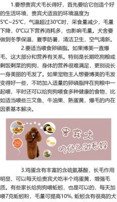 贵宾狗狗不能吃什么？（保护你的贵宾狗狗免受有害食物的伤害。）