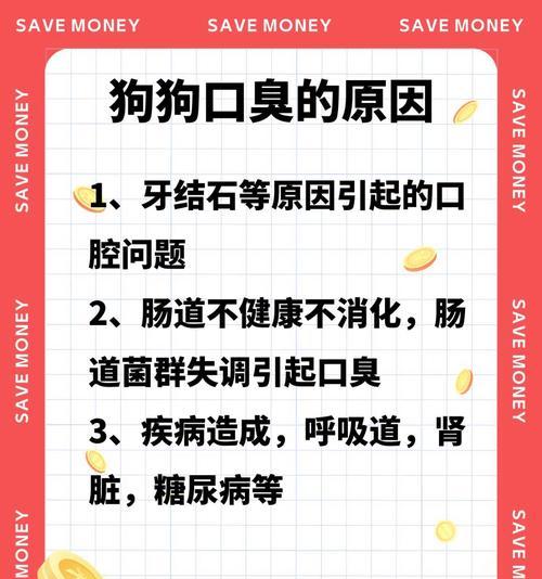 狗狗肠胃疾病（了解狗狗肠胃疾病的常见症状及有效处理方法）