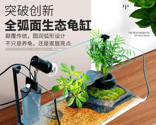 鹦鹉水族箱中的理想龟类宠物选择（探索最适合鹦鹉水族箱的龟类品种）