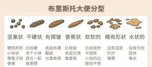 屎太干了，你必须了解的原因！（解析干燥屎便的成因及其对健康的影响）
