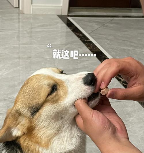 以犬心保吃完的症状及应对方法（犬心食物过量摄入的危害和预防措施）