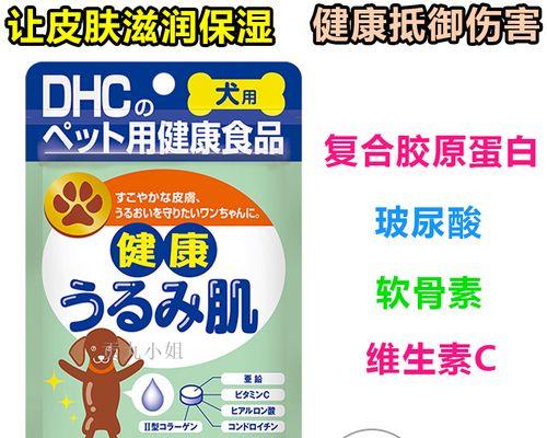 泰迪皮肤预防指南（保护泰迪皮肤，宠爱无疆）