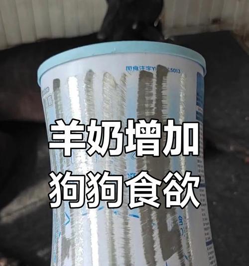 狗狗喝羊奶粉的益处（羊奶粉补充营养，让狗狗更健康）