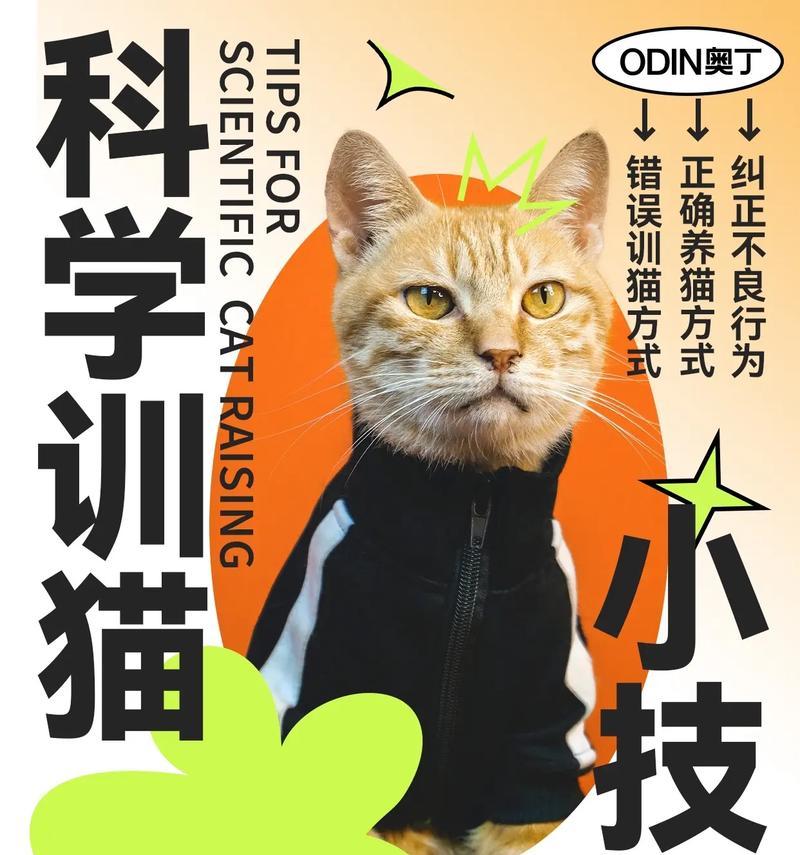 猫的驯服之谜（揭秘猫的驯服能力及其关键因素）
