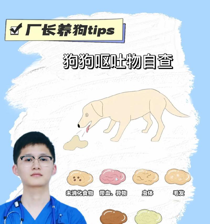 狗狗呕吐的原因、处理方法和适用药物（了解狗狗呕吐的种类、如何处理和推荐药物）