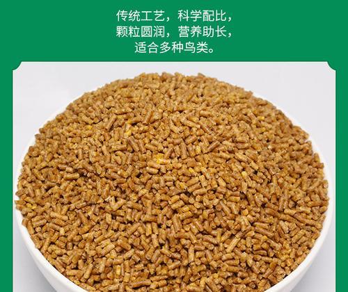 百灵鸟的饲料选择及喂养技巧（科学合理的饲料搭配是百灵鸟健康成长的关键）