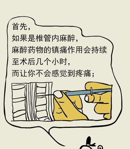 女性尿路改道手术（解决女性尿道疾病的创新手术方式）