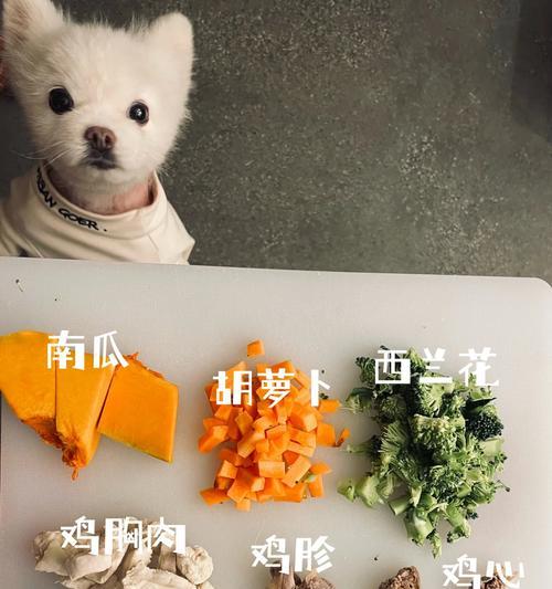 小狗生宝宝后的饮食需求（为小狗产后提供营养丰富的食物）